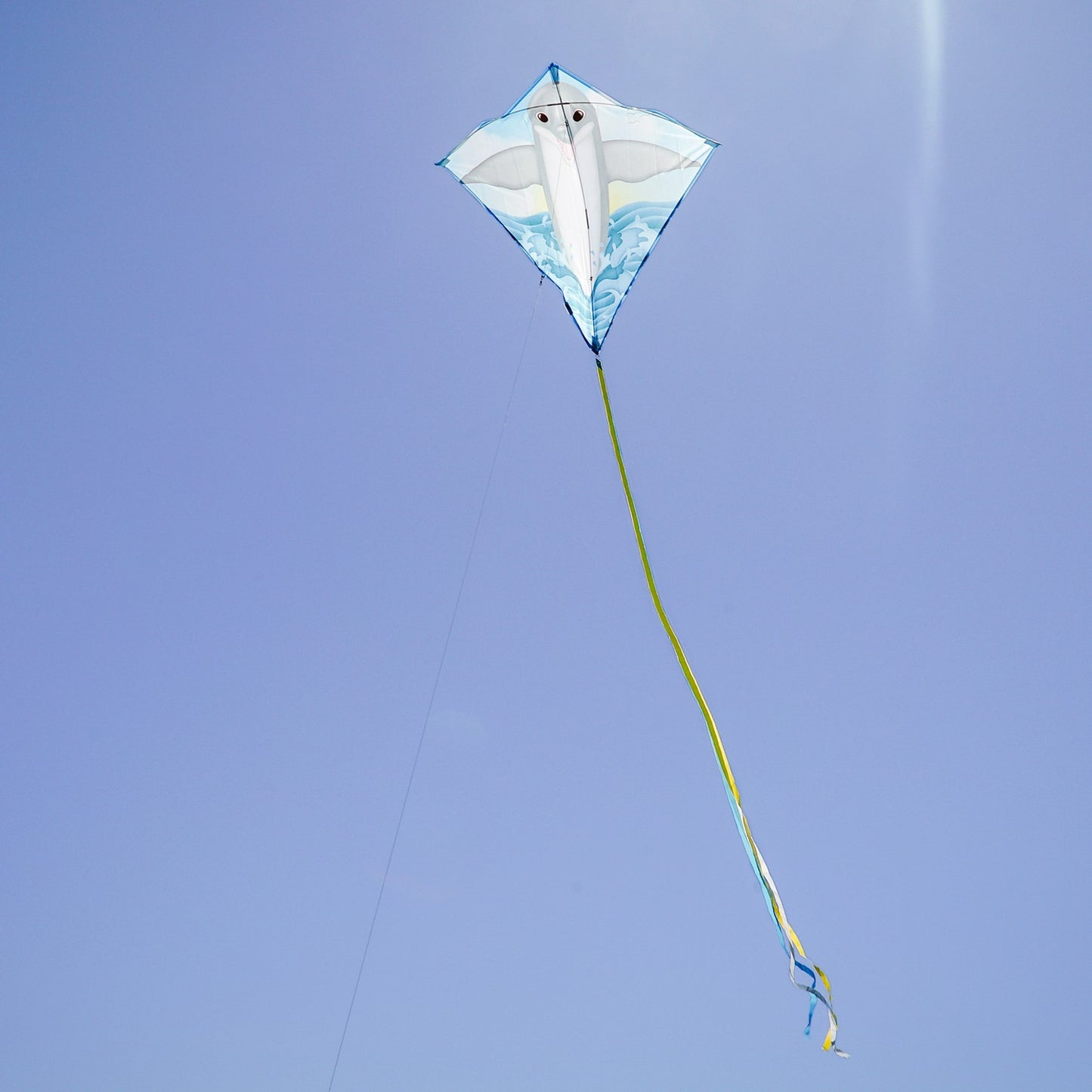 Dolphin Diamond Kite