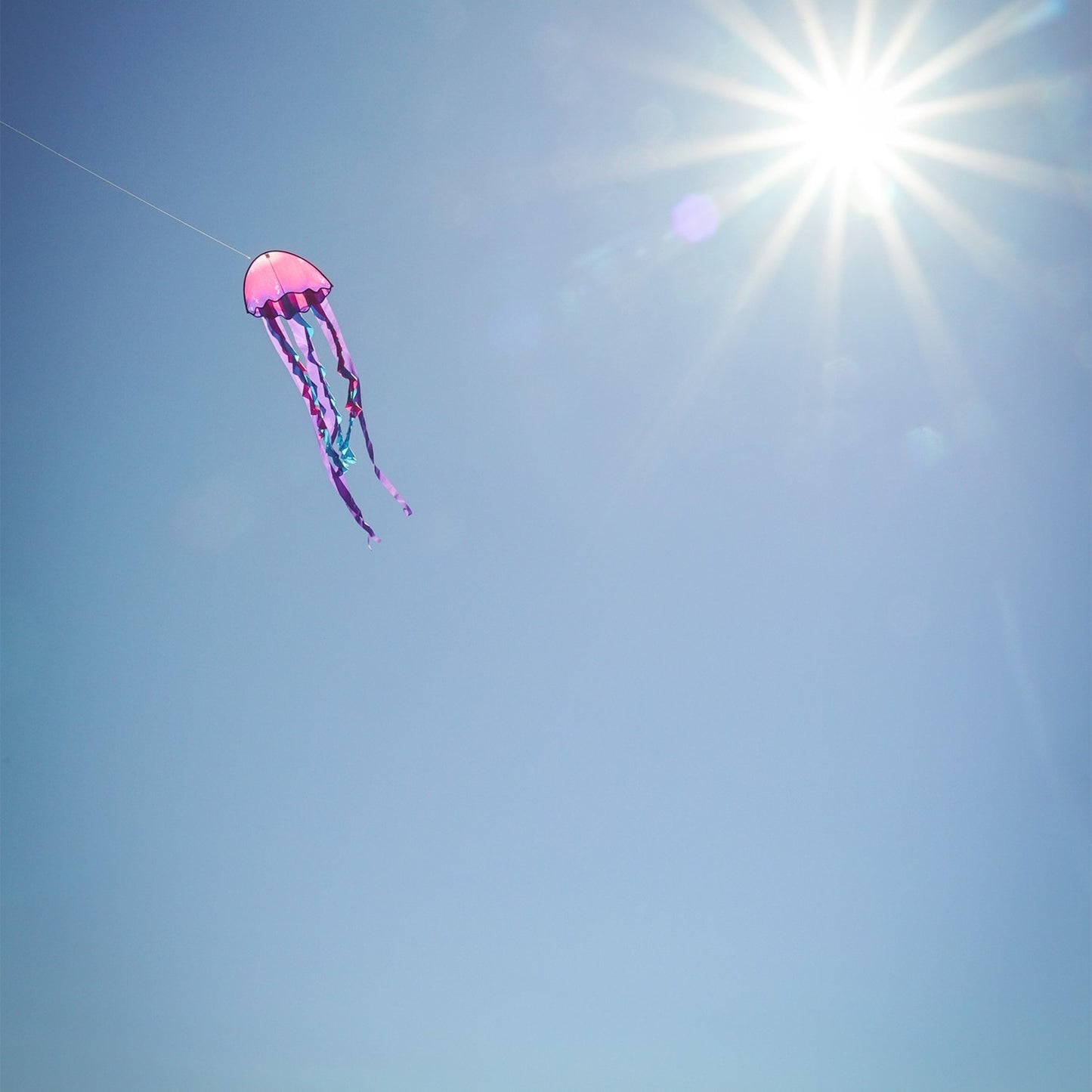 22" Jellyfish Dancing Dragon Kite