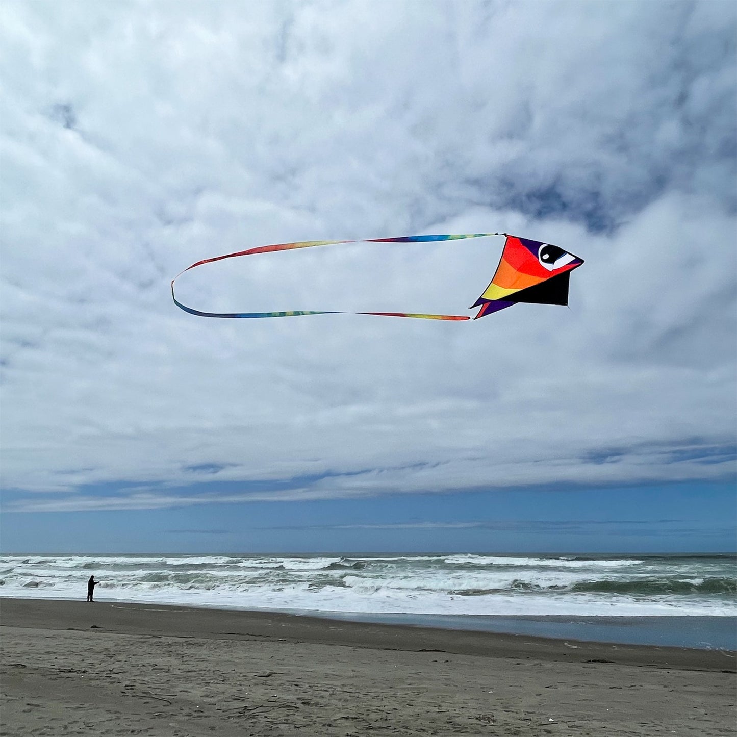 Surf City Kites Tie Dye 20 foot Continuous Tail