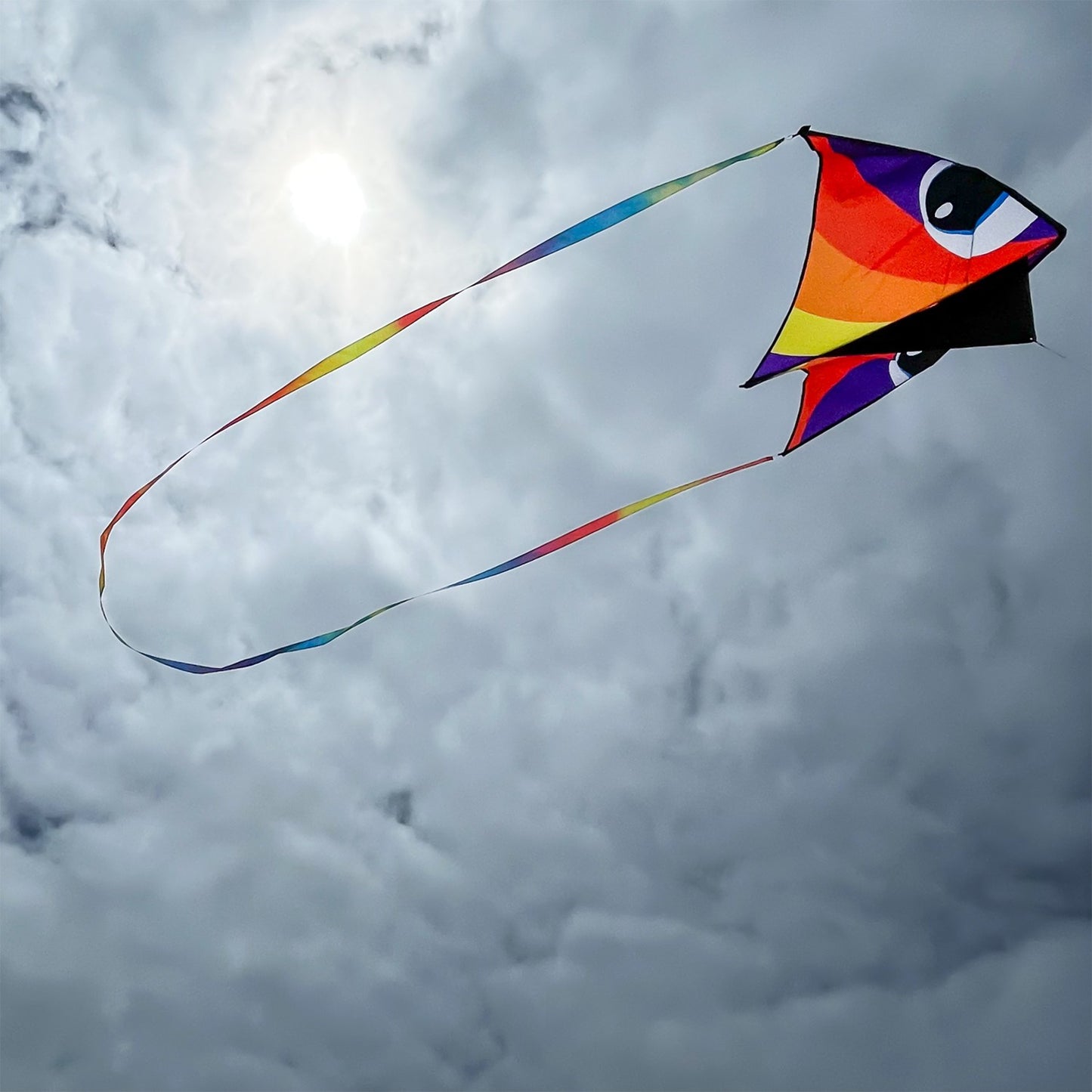 Surf City Kites Tie Dye 20 foot Continuous Tail