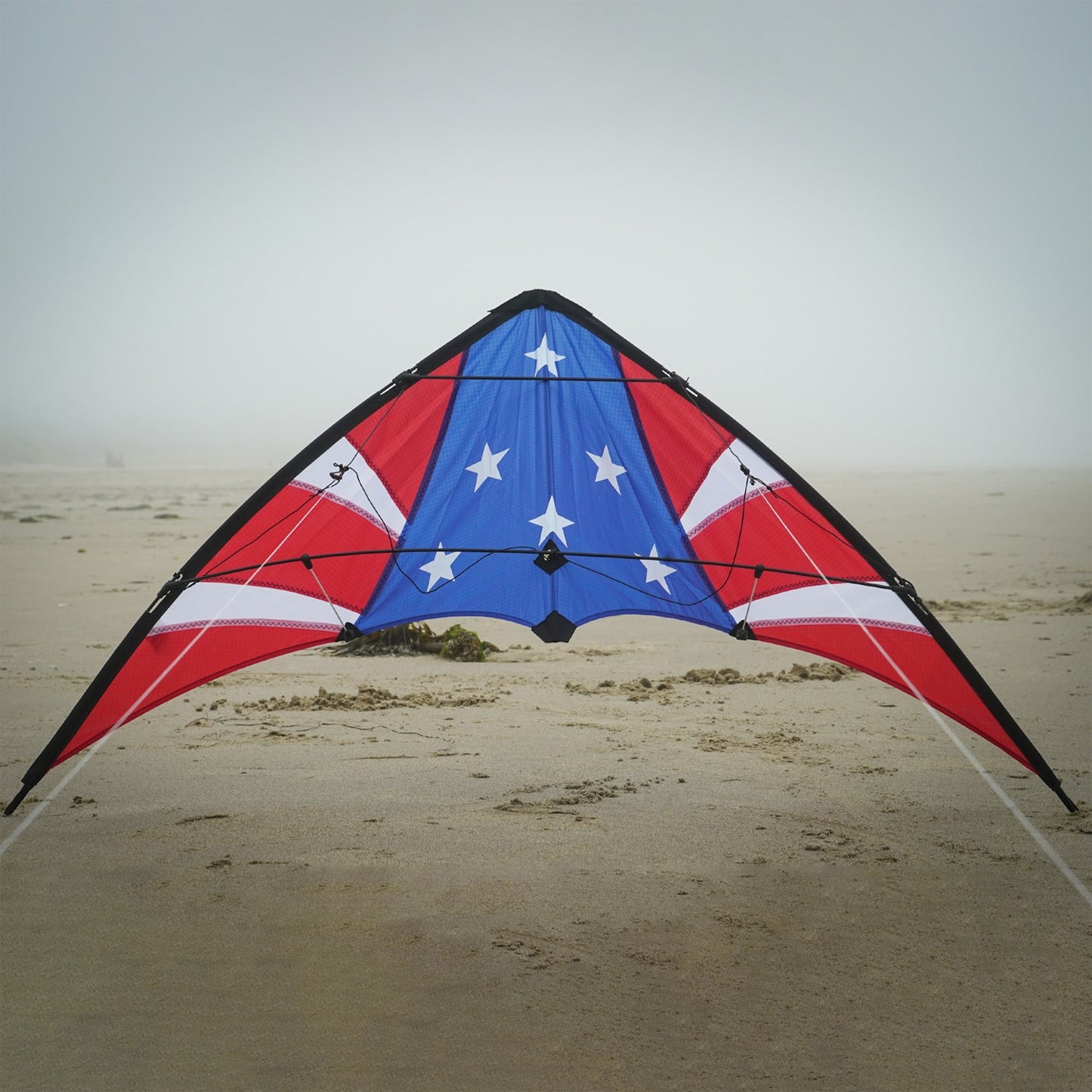 Stars and Stripes 48" Sport Kite