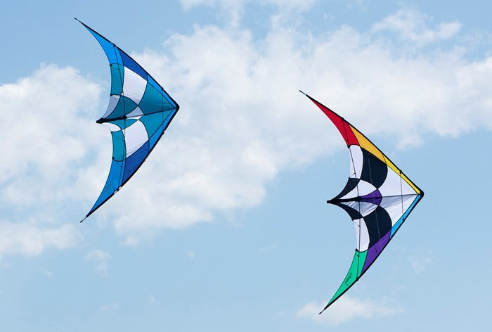 Rainbow Alpha + 6 Stunt Kite with Dyneema Lines