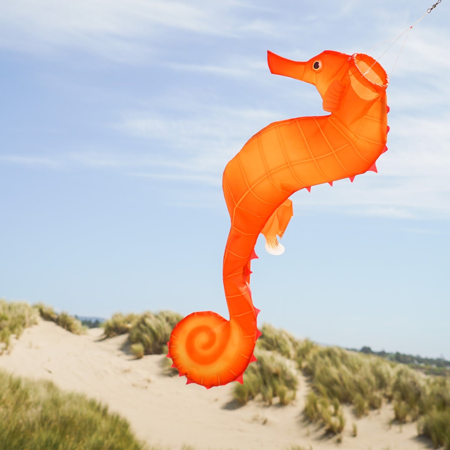Surf City Kites Seahorse 3D Windsock 40"