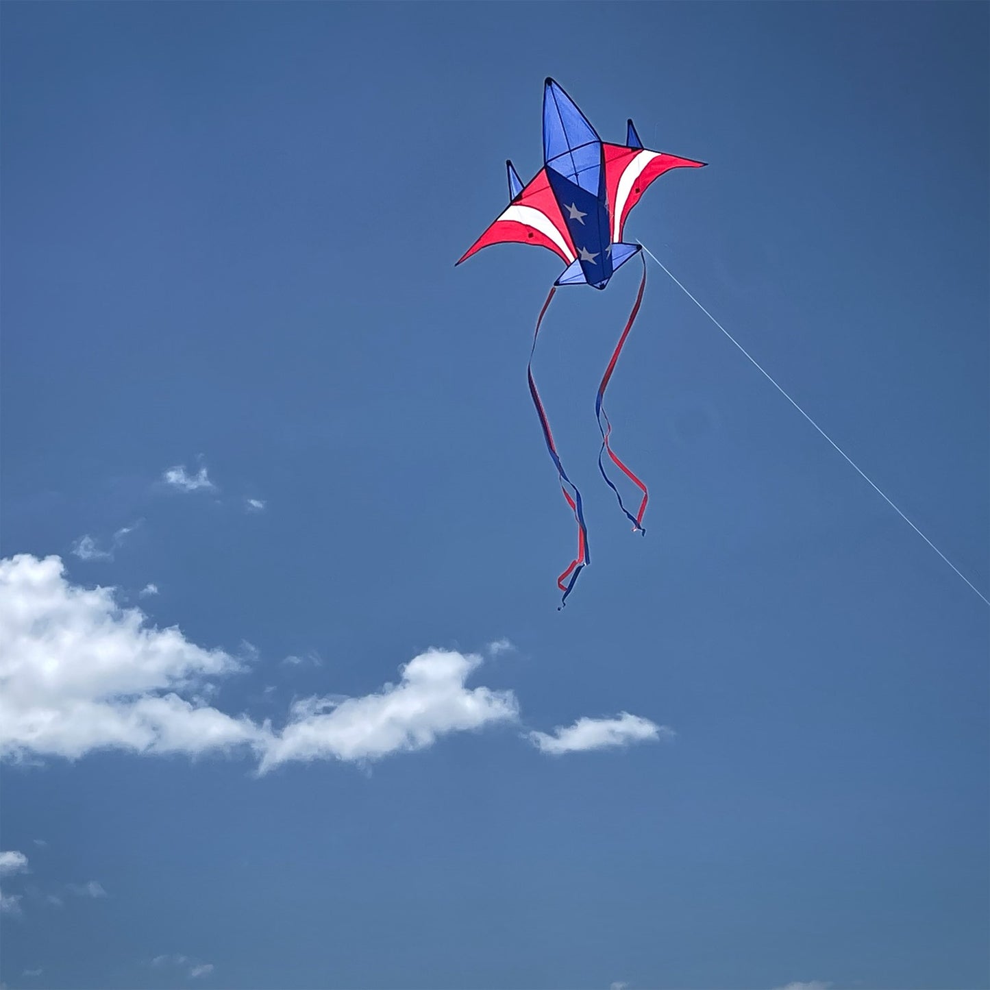 Patriot Jet Kite
