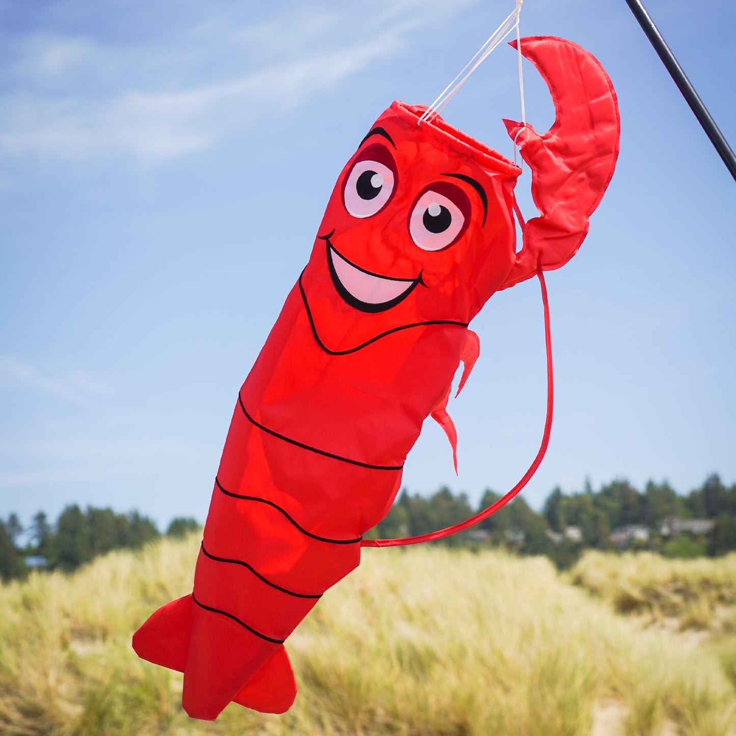 Surf City Kites Lobster 3D Windsock