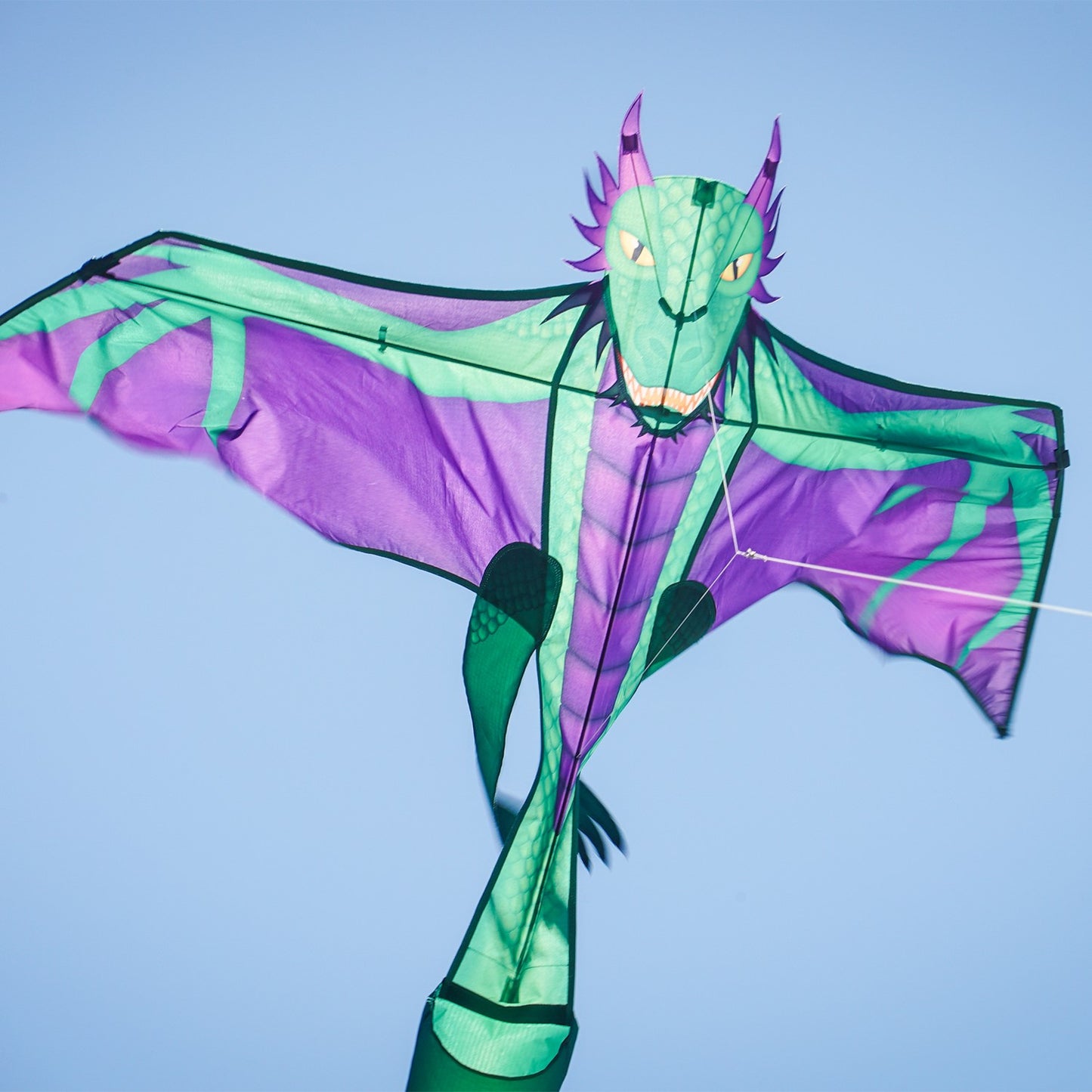 Dragon 90" Kite