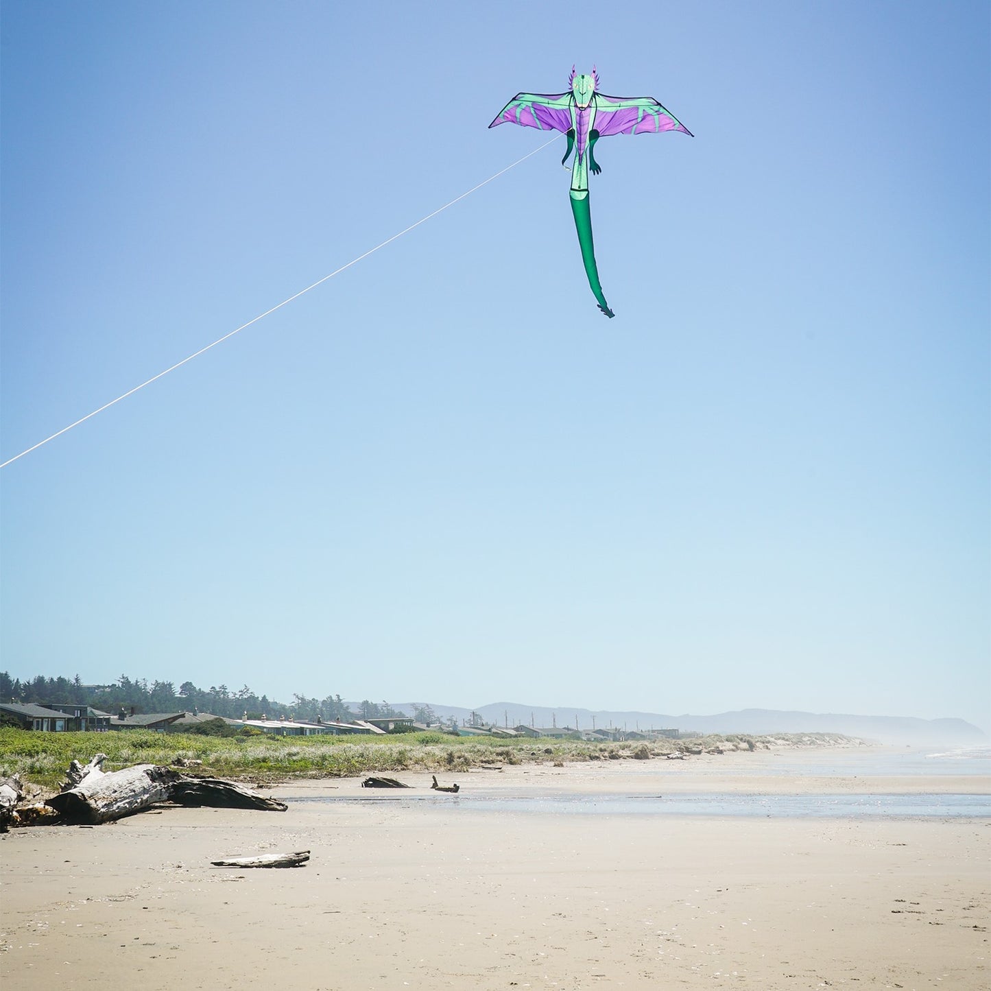 Dragon 90" Kite