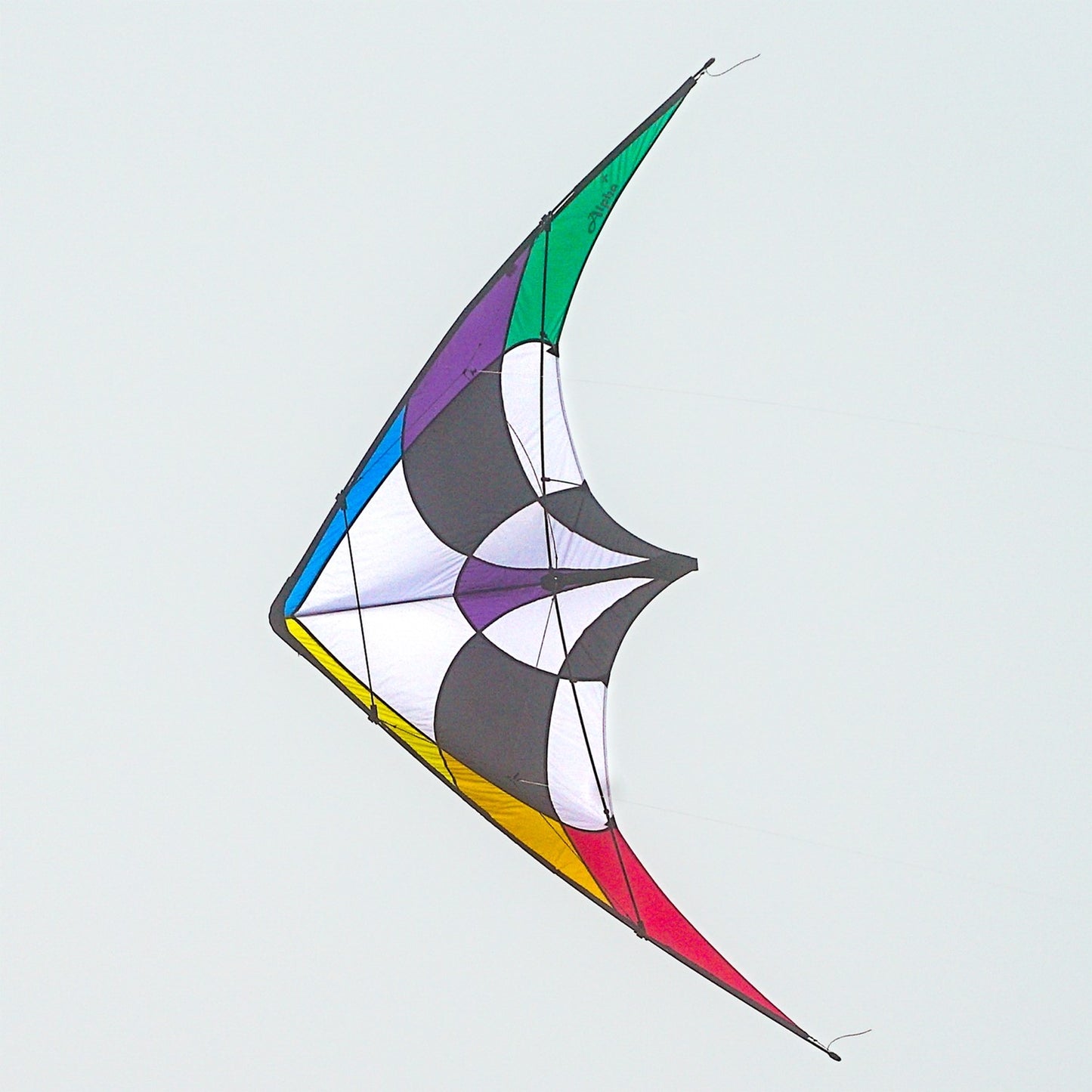 Rainbow Alpha + 6 Stunt Kite with Dyneema Lines
