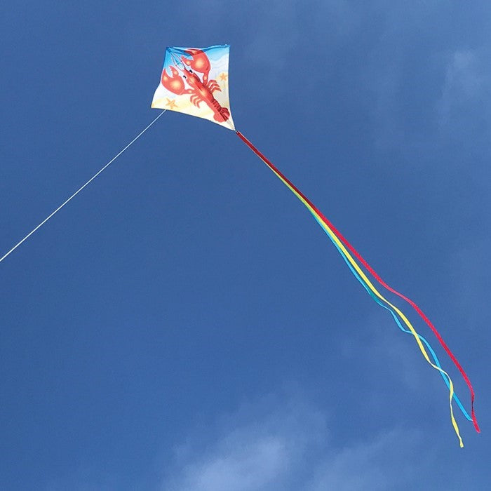 Lobster Diamond Kite