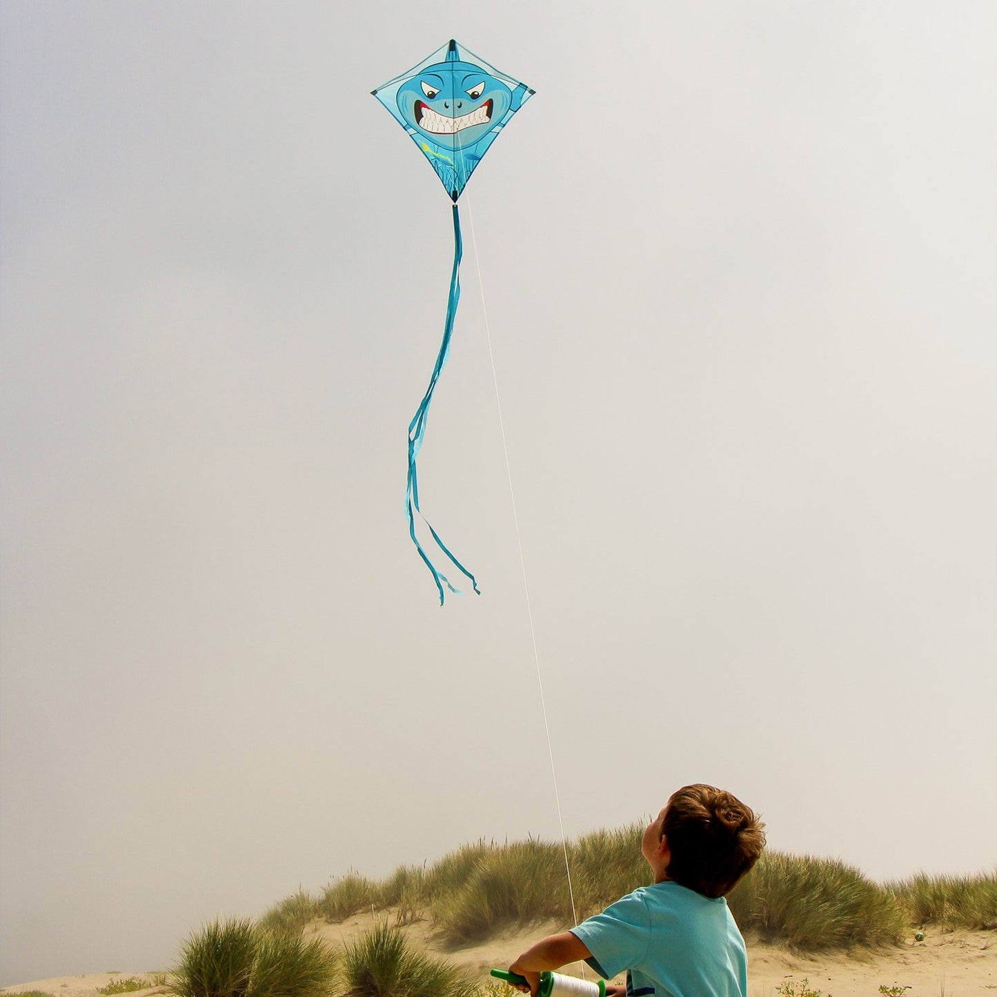 Shark Diamond Kite