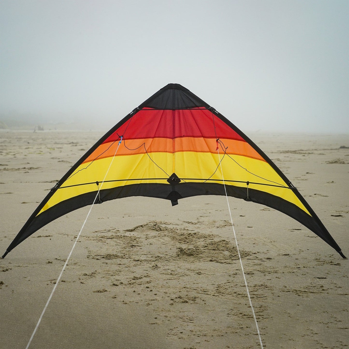 Sunset Sport Kite