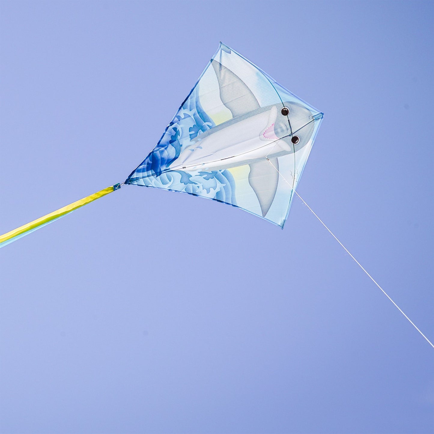 Dolphin Diamond Kite