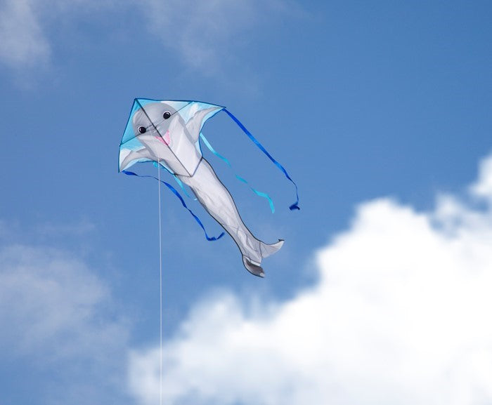 Dolphin Fly-Hi Kite