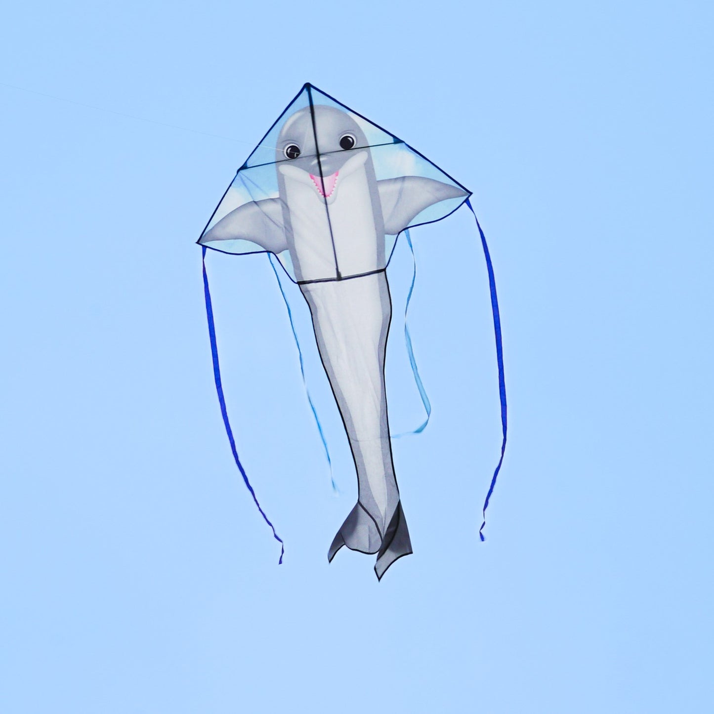 Dolphin Fly-Hi Kite