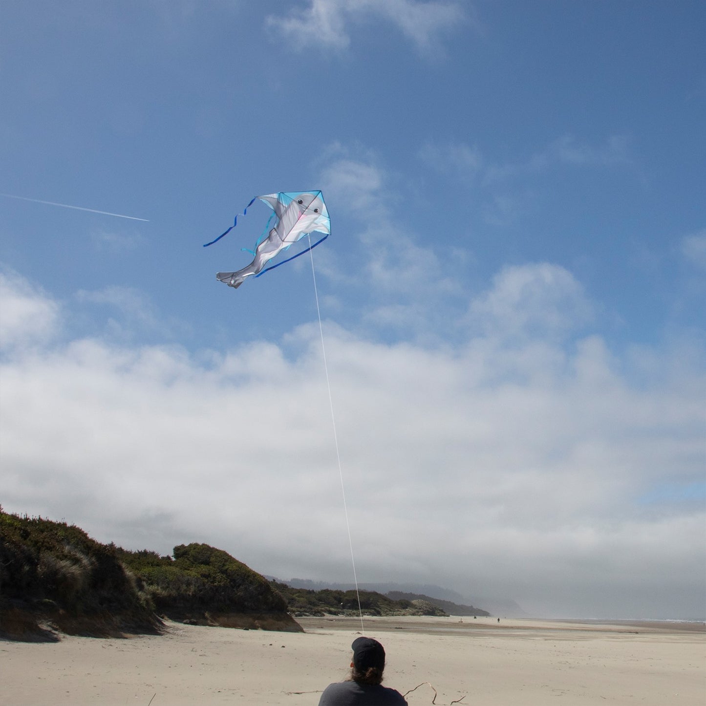 Dolphin Fly-Hi Kite