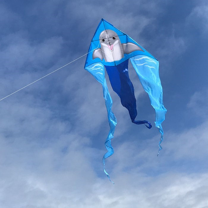 Dolphin 52" Wave Delta Kite