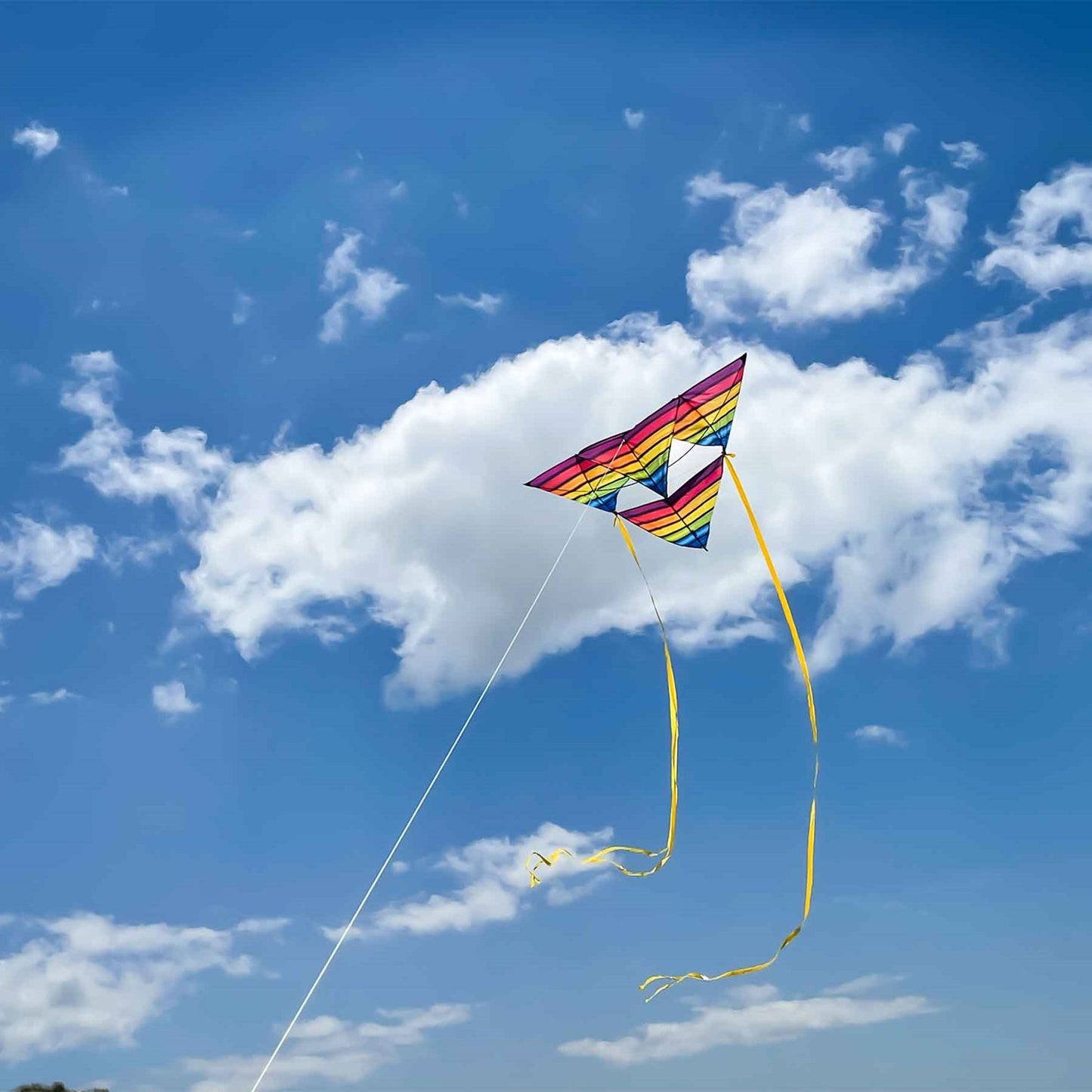 SuperSize Tetra Kite