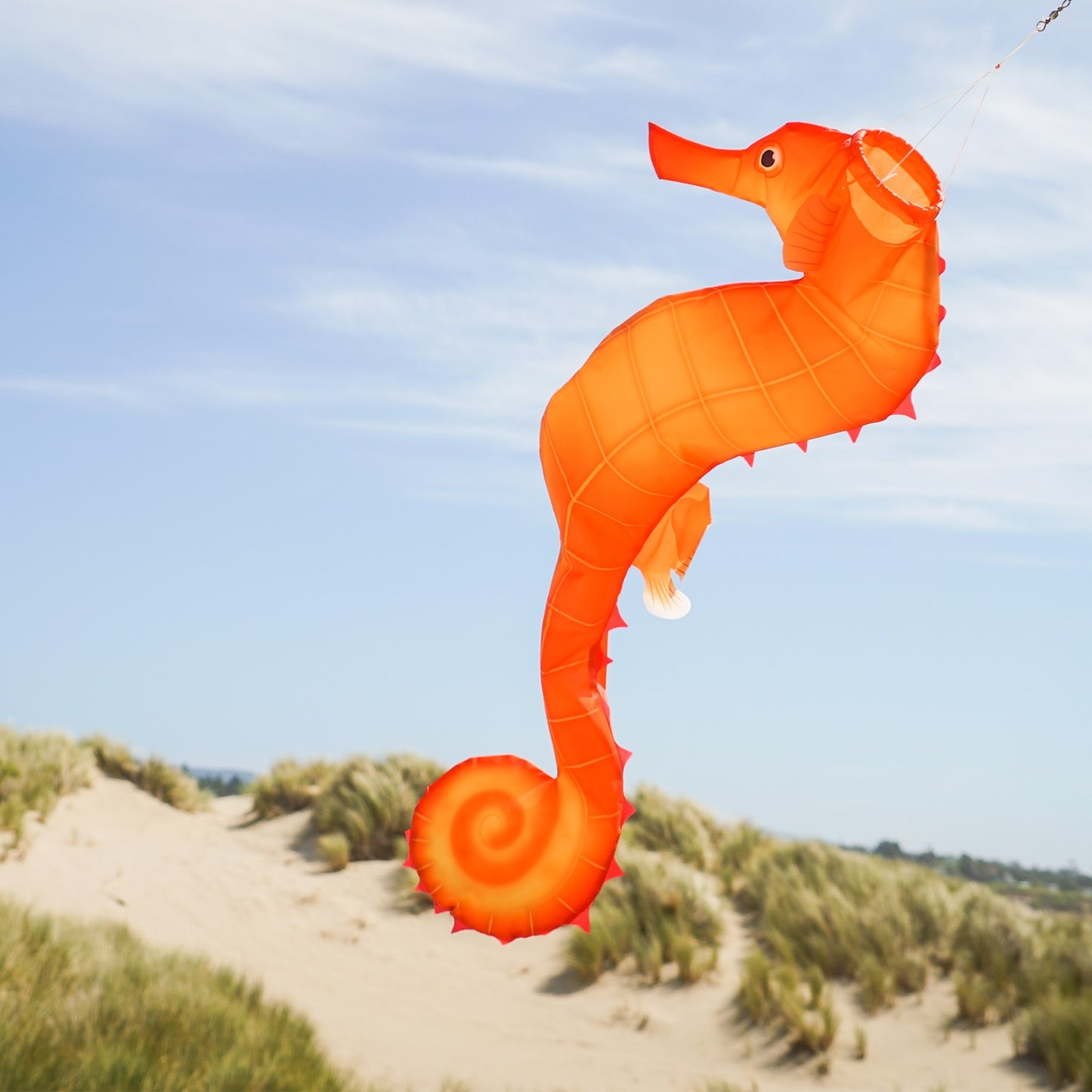 Seahorse 3D Windsock 40"