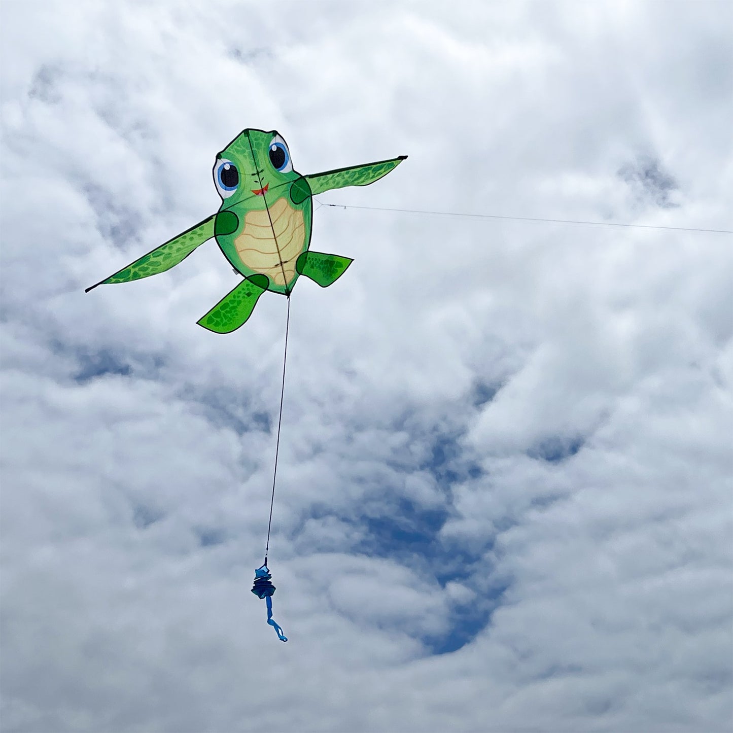 Baby Tortuga Kite