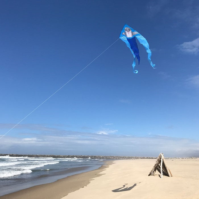 Dolphin 52" Wave Delta Kite