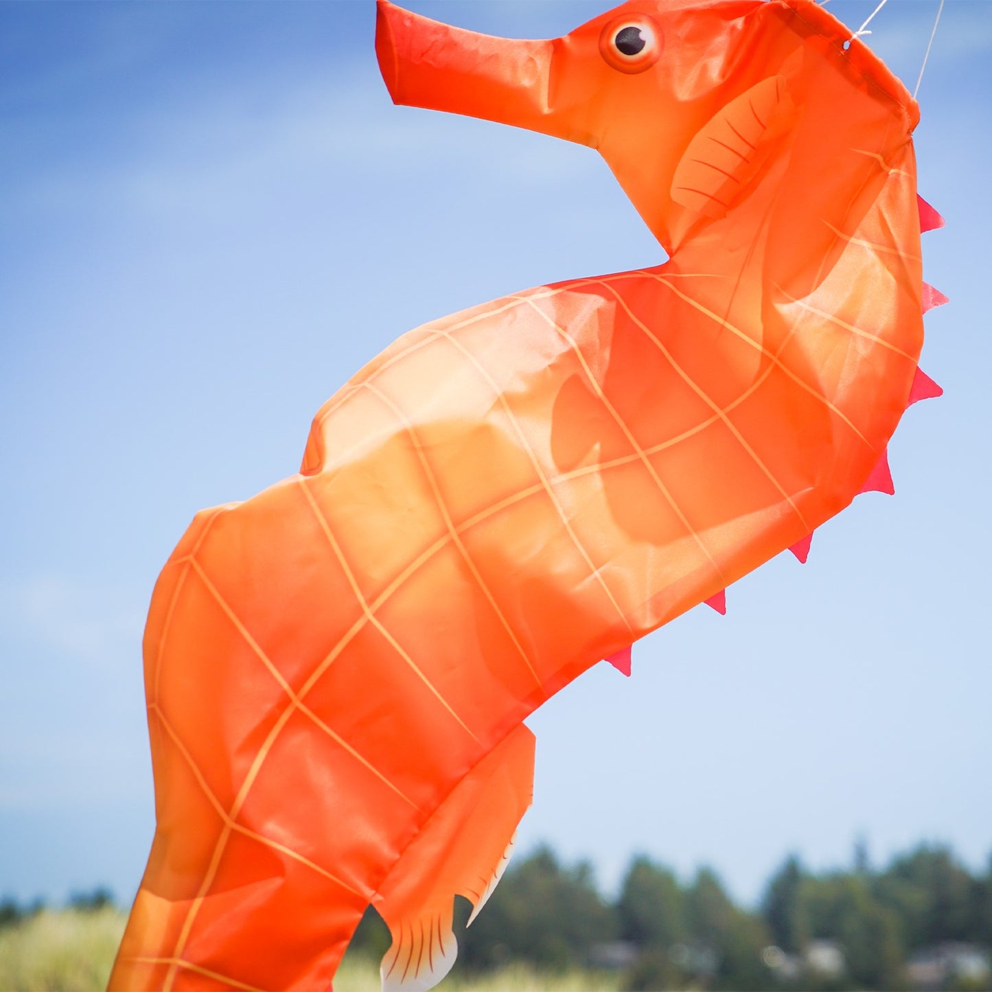 Seahorse 3D Windsock 40"