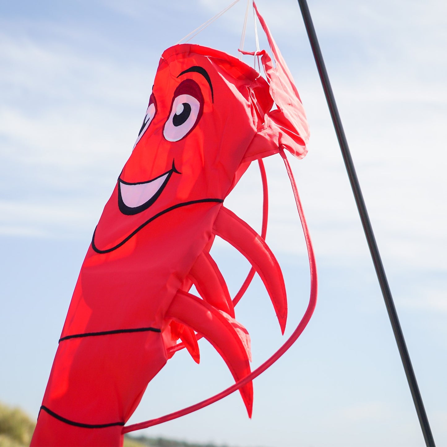 Lobster 3D Windsock